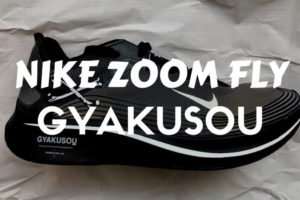 ズームフライ GYAKUSOU zoom fly