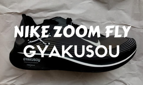 ズームフライ GYAKUSOU zoom fly