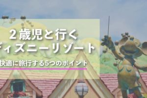 2歳児と行くディズニーリゾート5つのポイント
