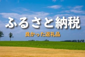 ふるさと納税の返礼品 良かったものをブログでレビュー