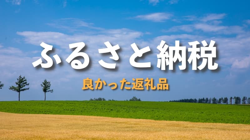 ふるさと納税の返礼品 良かったものをブログでレビュー