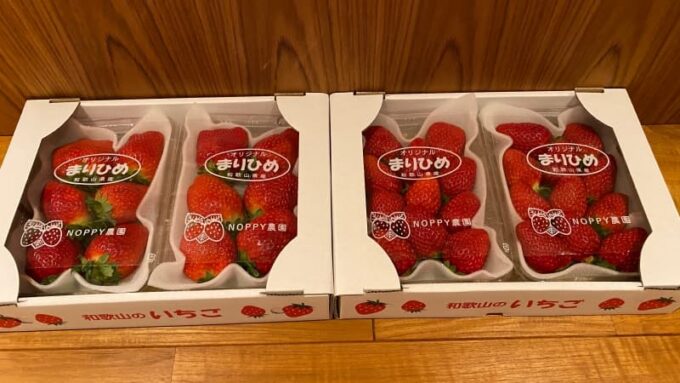 ふるさと納税 返礼品のいちご