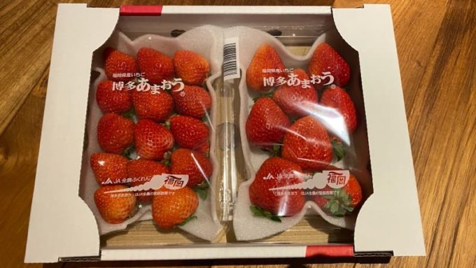ふるさと納税 返礼品のいちご(あまおう)