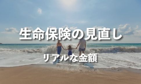 30代既婚男性が生命保険の見直しで参考になるリアルな金額【まとめ】