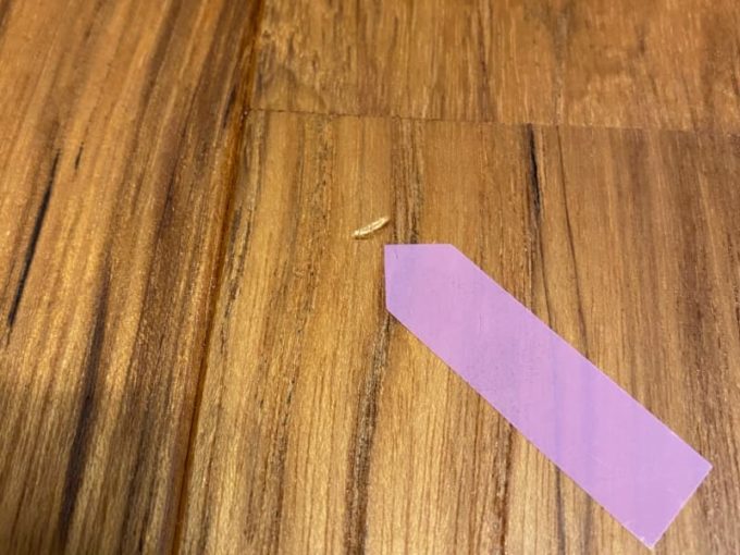 新築 施主検査のチェック箇所 床の無垢材に穴へこみ