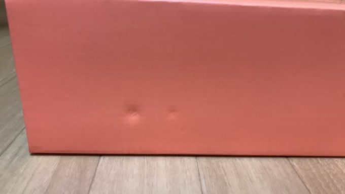 NIKE AIR SKYLON 2 FEAR OF GOD(ナイキ エアスカイロン2 フィアオブゴッド)の箱にあったダメージ