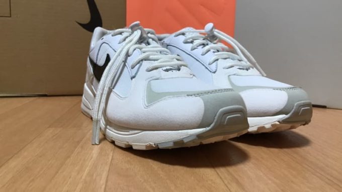NIKE AIR SKYLON 2 FEAR OF GOD(ナイキ エアスカイロン2 フィアオブゴッド)の写真