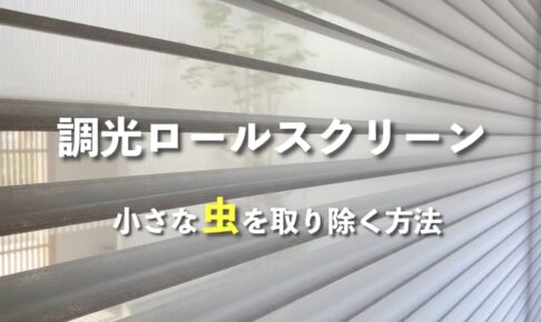 調光ロールスクリーンのすき間に挟まった小さな虫やゴミを取り除く方法