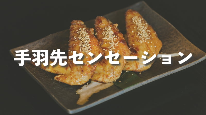 手羽先センセーションってどんなアイドル？名古屋が誇る実力派 鶏群一鶴のライブパフォーマンス