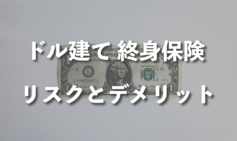 ドル建て終身保険のリスクとデメリット